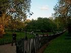 ���������� - Hyde Park, London - ������ - Hyde Park, London