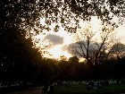 ���������� ������ ������ - Hyde Park, London Hyde Park, London