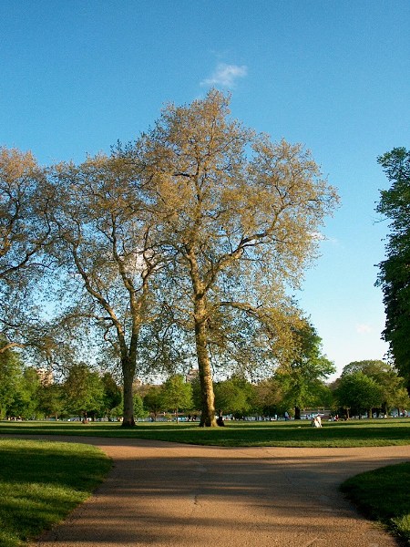 ���������� ������ ������ - Hyde Park, London Hyde Park, London