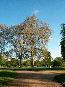 ���������� ������ ������ - Hyde Park, London Hyde Park, London