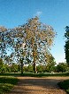 ���������� ������ ������ - Hyde Park, London Hyde Park, London