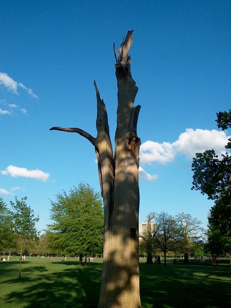 ���������� ������ ������ - Hyde Park, London Hyde Park, London