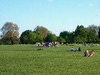    - Hyde Park, London Hyde Park, London