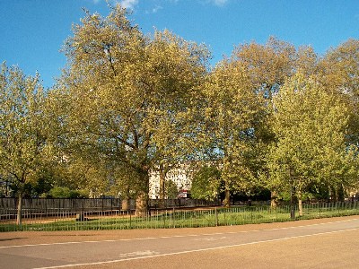 ���������� ������ ������ - Hyde Park, London Hyde Park, London