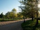  - Hyde Park, London -  - Hyde Park, London