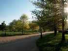 ���������� ������ ������ - Hyde Park, London Hyde Park, London