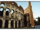 - Coliseum -  - Roma, Italia