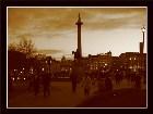  - Trafalgar square -  - Random London