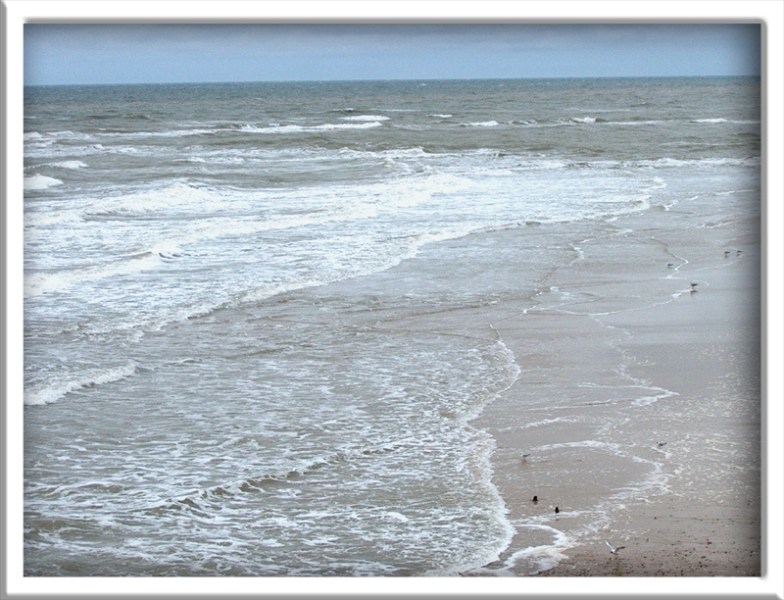   ,  - English coasts. North Sea. North Sea