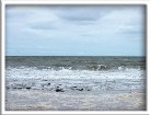   ,  - English coasts. North Sea. North Sea