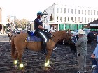���������� - ������ 2005 - �����, ������ - ������ ����������