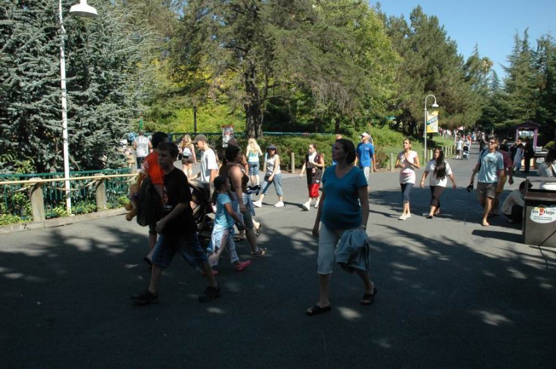 ���������� ������ �����, ������ - ������������ ����� (Six Flags) ���� 2006