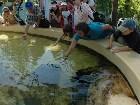 ���������� - ���� 2006 - �����, ������ - ������������ ����� (Six Flags)