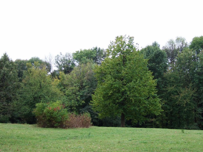 ���������� ������ ������� - �����, 15.10.2006 ������� � �������� � ���������� ����