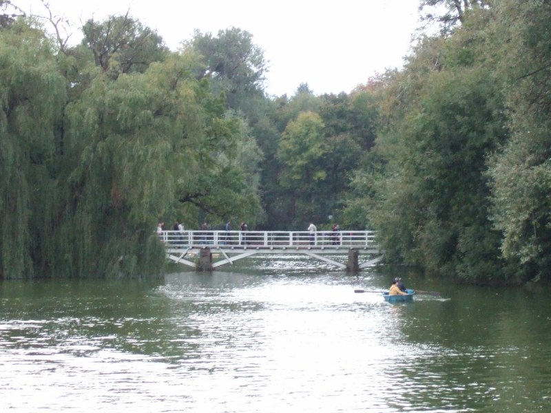 ���������� ������ ������� - �����, 15.10.2006 ������� � �������� � ���������� ����