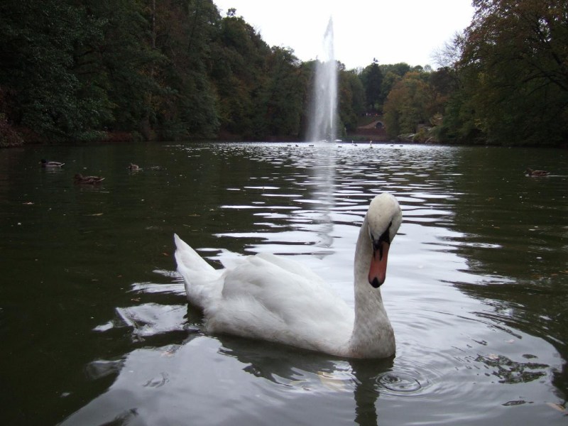 ���������� ������ ������� - �����, 15.10.2006 ������� � �������� � ���������� ����