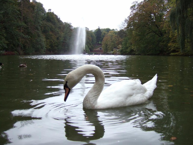 ���������� ������ ������� - �����, 15.10.2006 ������� � �������� � ���������� ����