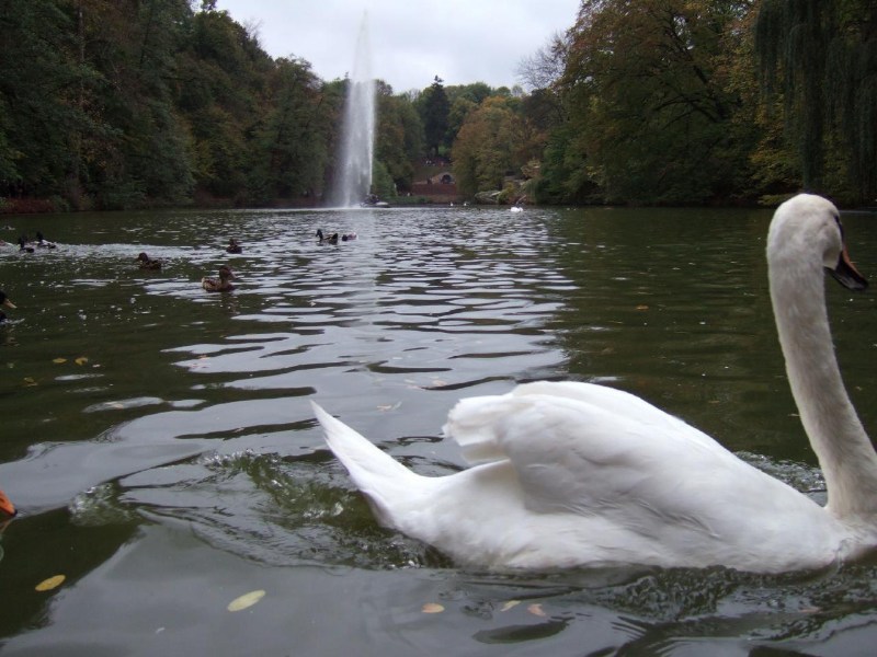 ���������� ������ ������� - �����, 15.10.2006 ������� � �������� � ���������� ����
