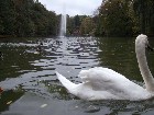 ���������� ������ ������� - �����, 15.10.2006 ������� � �������� � ���������� ����