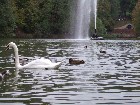 ���������� - ������� � �������� � ... - ������� - �����, 15.10.2006