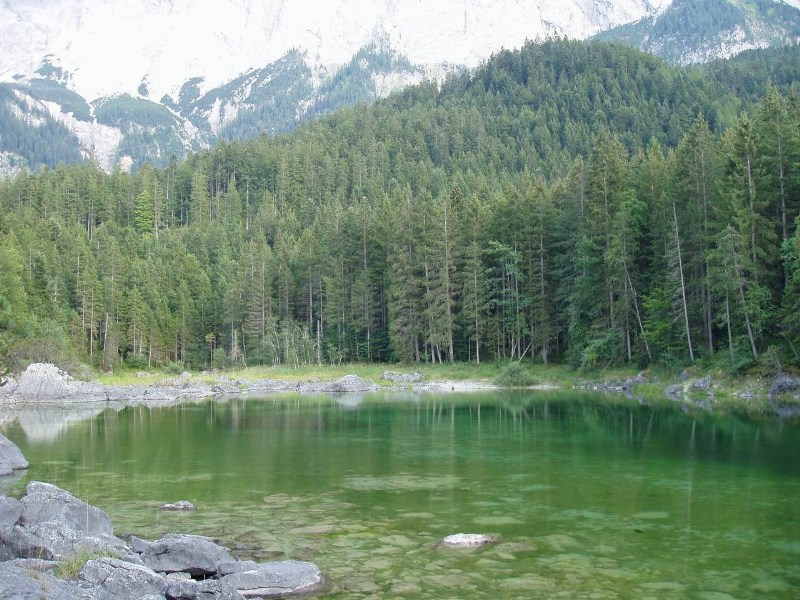 ���������� ������ ������ - ��������, 08. 2006