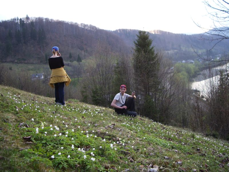      22-24.04.2006  - !)))