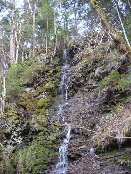      22-24.04.2006  - !)))