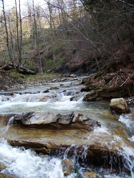      22-24.04.2006  - !)))