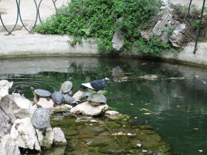 ���������� ������ ������ - GREECE Athens
