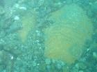фото - где то в глубинах Черного моря :))) - Подводная Археология