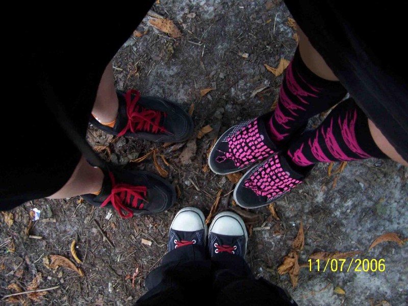    - + + + Shabash + + + tapki