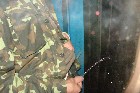 ���������� ������ ������� ���� �������