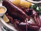  - Lobster 2 - 