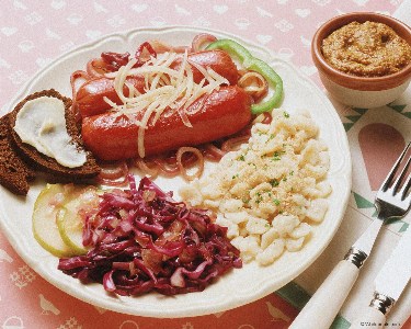    German meal