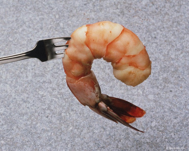    Shrimp 2