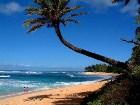  - Hawaii
