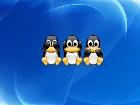  - Linux