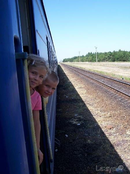   _2006 v.9 ,    13- ?