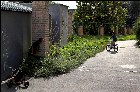 ���������� ������ ����, ������. �����, ���������� ���� �������� �����