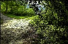 ���������� ������ ����, ������. �����, ���������� ���� �������� �����