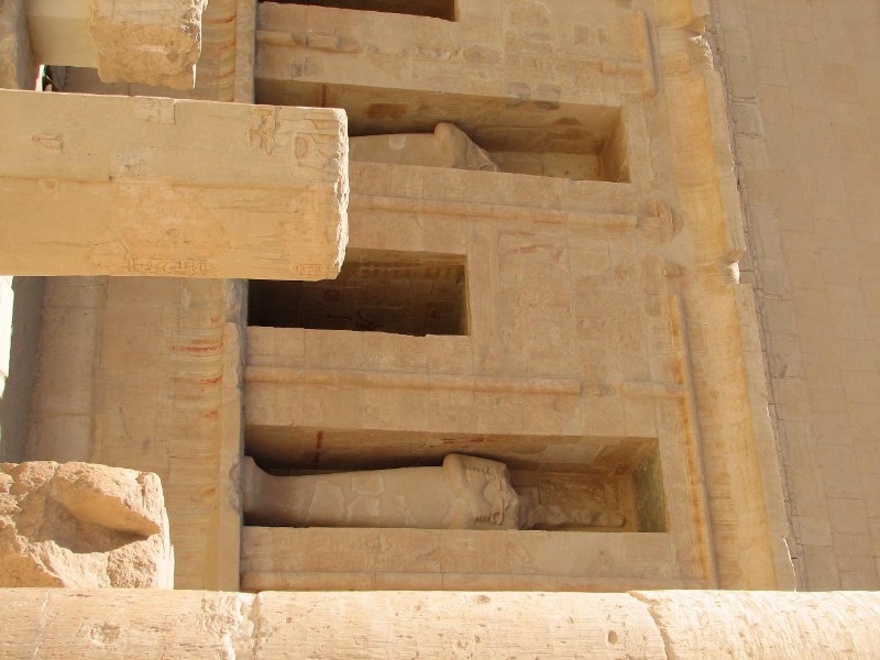   --Dasert Rose ($405)