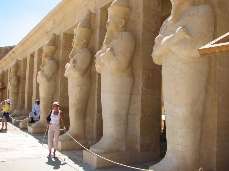   --Dasert Rose ($405)