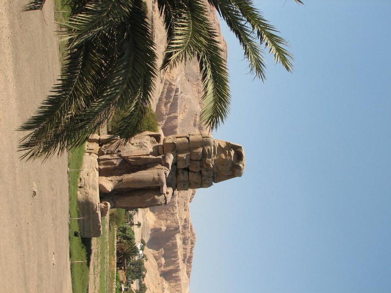   --Dasert Rose ($405)