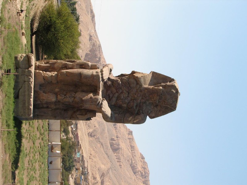   --Dasert Rose ($405)