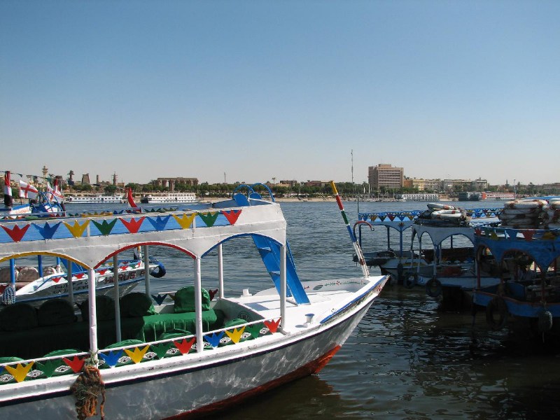   --Dasert Rose ($405)