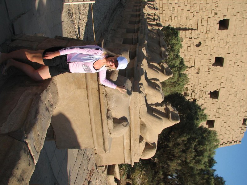   --Dasert Rose ($405)