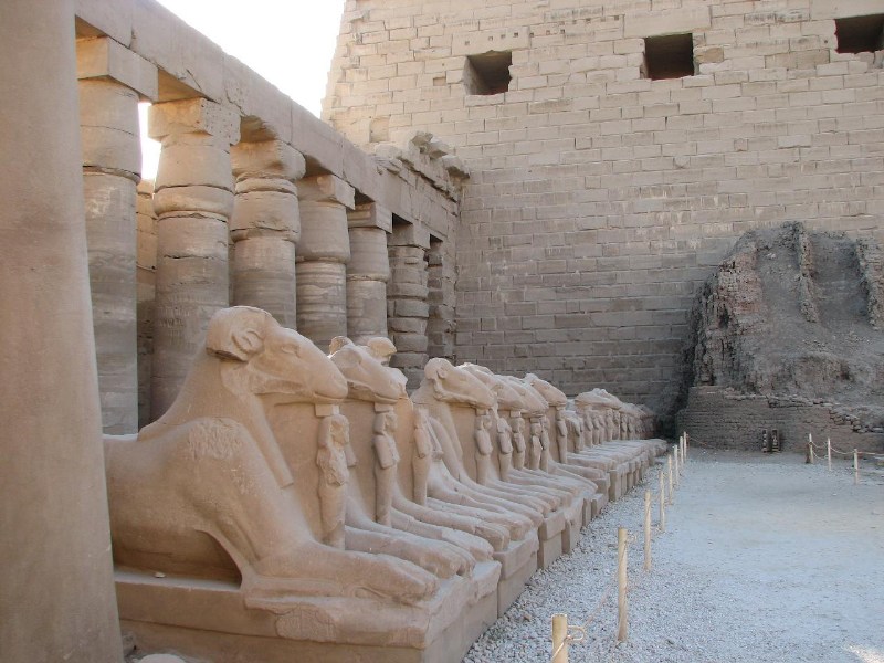   --Dasert Rose ($405)