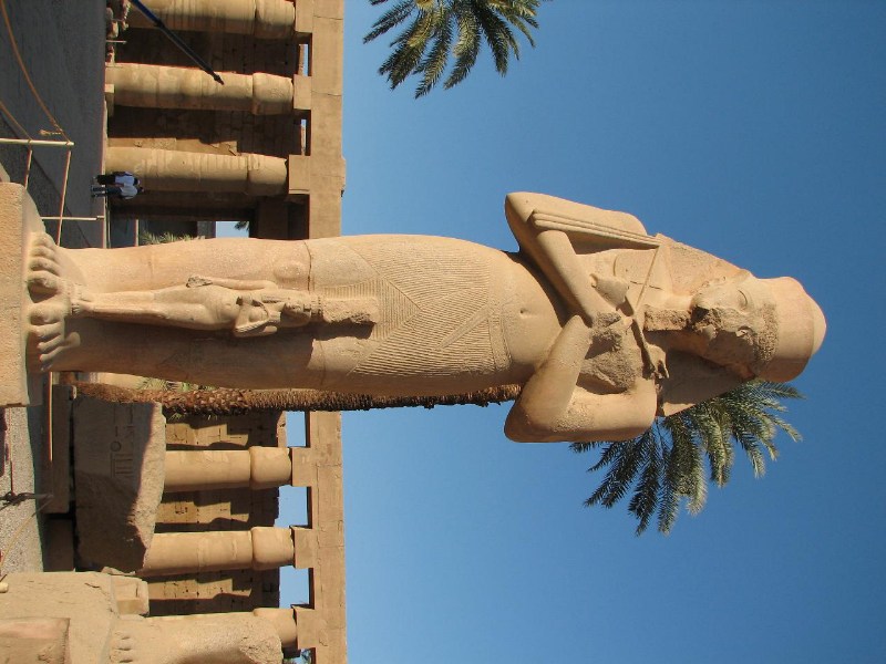   --Dasert Rose ($405)