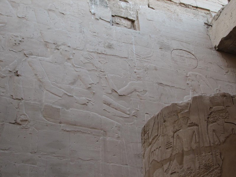   --Dasert Rose ($405)