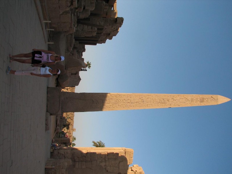   --Dasert Rose ($405)